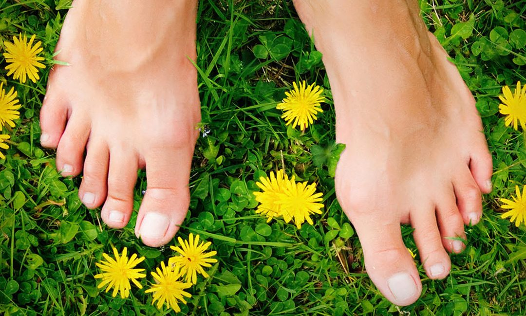 The Earthing Movie Documents Free and Potent Medicine